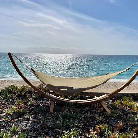 Appartement T2 Paradisiaque Les Pieds Dans L'eau A Olmeto Olmeto (Corsica)