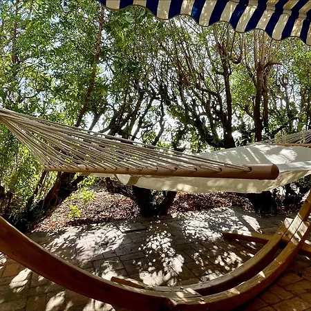 Appartement T2 Paradisiaque Les Pieds Dans L'eau A Olmeto *