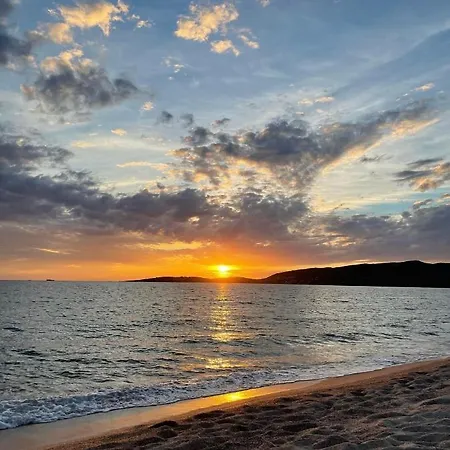 Appartement T2 Paradisiaque Les Pieds Dans L'eau à Olmeto (Corsica)