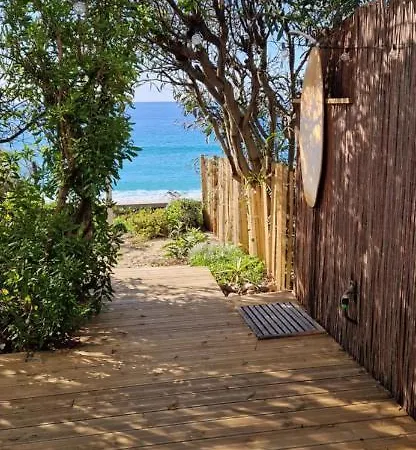 Appartement T2 Paradisiaque Les Pieds Dans L'eau à Olmeto (Corsica)