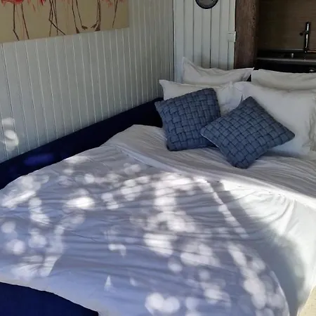 Appartement T2 Paradisiaque Les Pieds Dans L'eau A Olmeto *